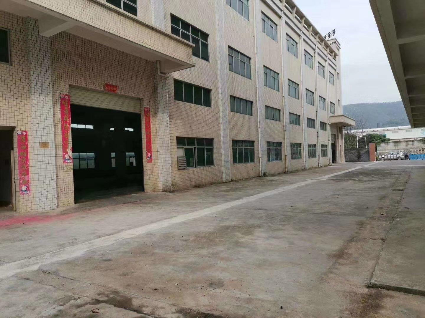樟木頭最新招工信息，動態(tài)、就業(yè)市場分析與求職指南